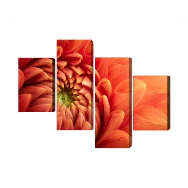 Macro Scale Orange Chrysanthemum Multi-Piece Image