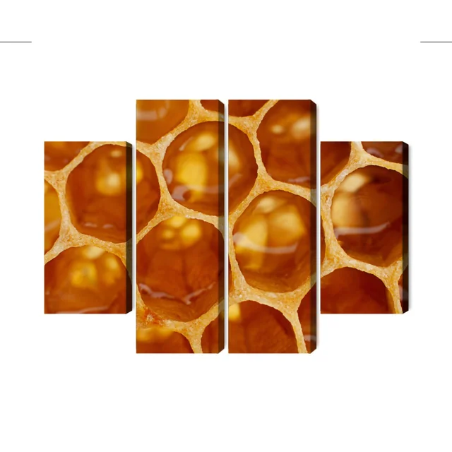 Makro Měřítko Vícedílné Honeycomb Image