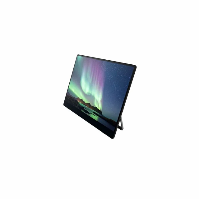 Moniteur à écran tactile OLED Ricoh 514909 15,6&quot;