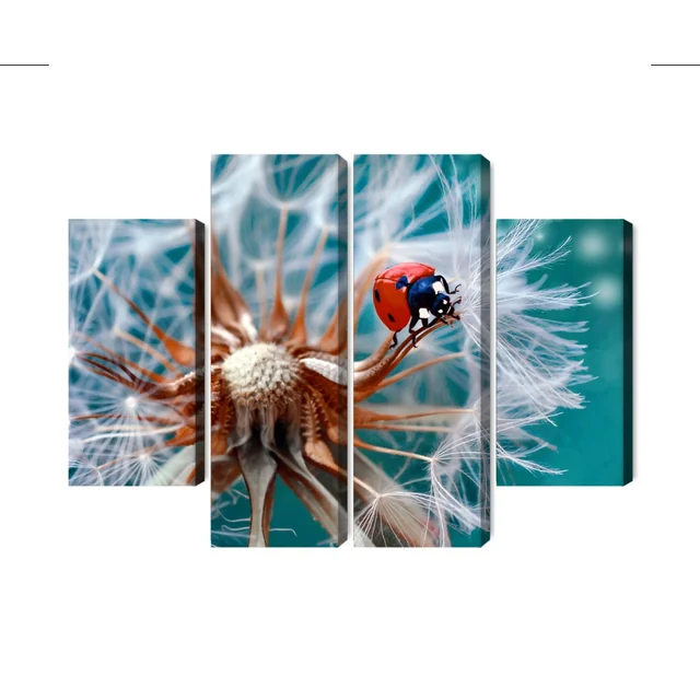 Multi-part image of a ladybug on a dandelion in macro scale