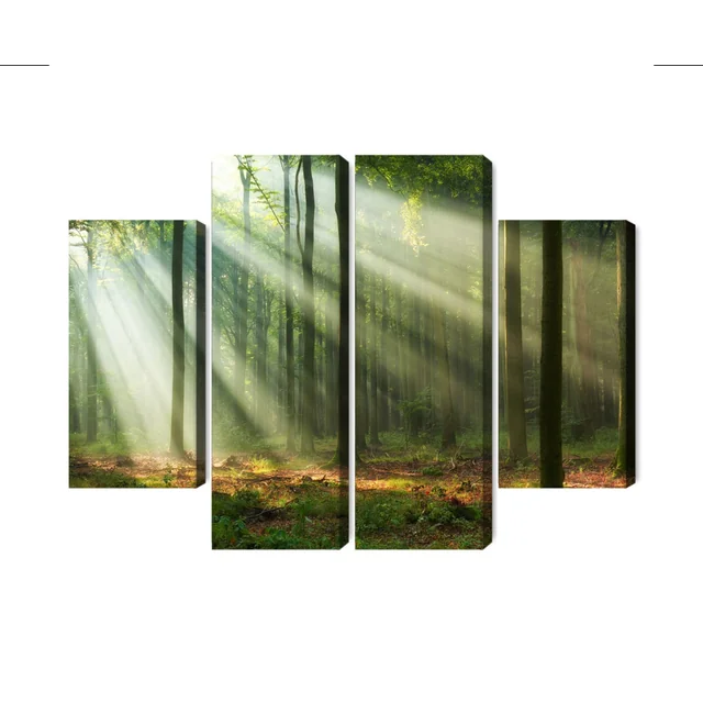 Multi-part Picture Forest Landscape in the Morning