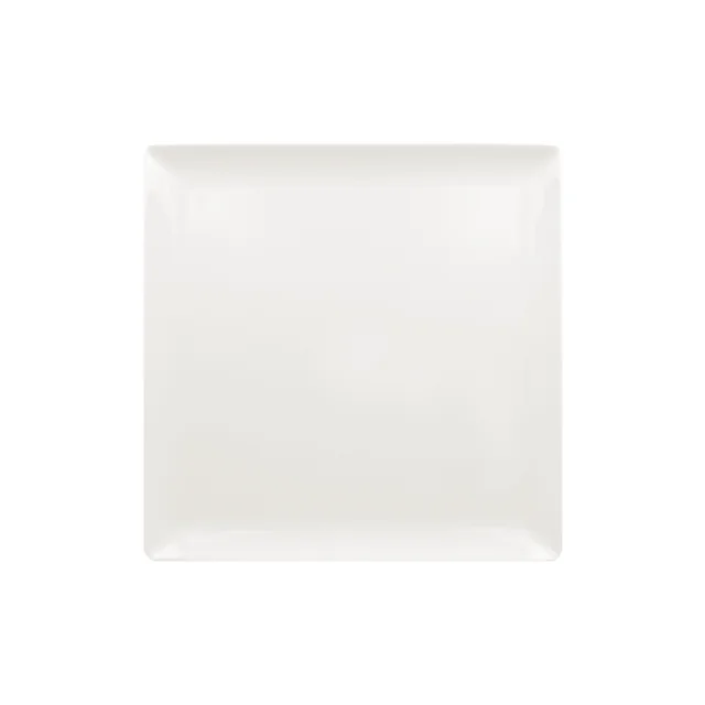 Nano Flat square plate 25 cm