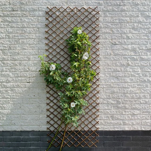 Nature Have espalier, 60x180 cm, naturflet, brun