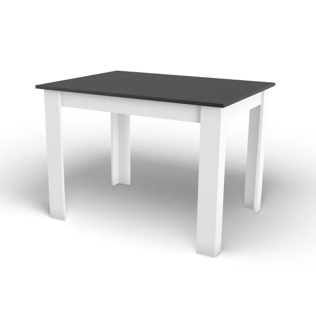 NP-pöytä 120x80 Musta + valkoinen