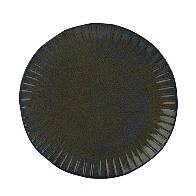 Ocean plate 310 mm