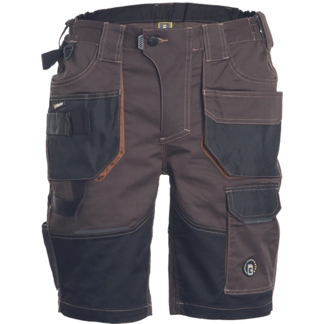 Pantalón corto DAYBORO marrón oscuro 50