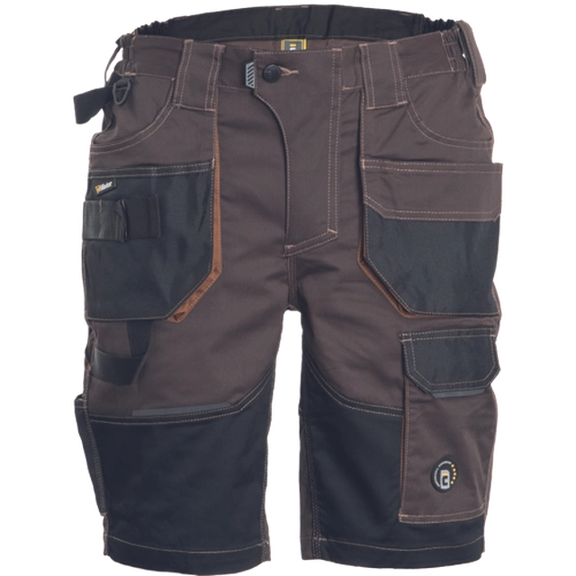 Pantalón corto DAYBORO marrón oscuro 60
