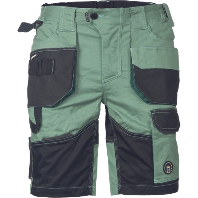 Pantalones cortos DAYBORO verde mecánico 44