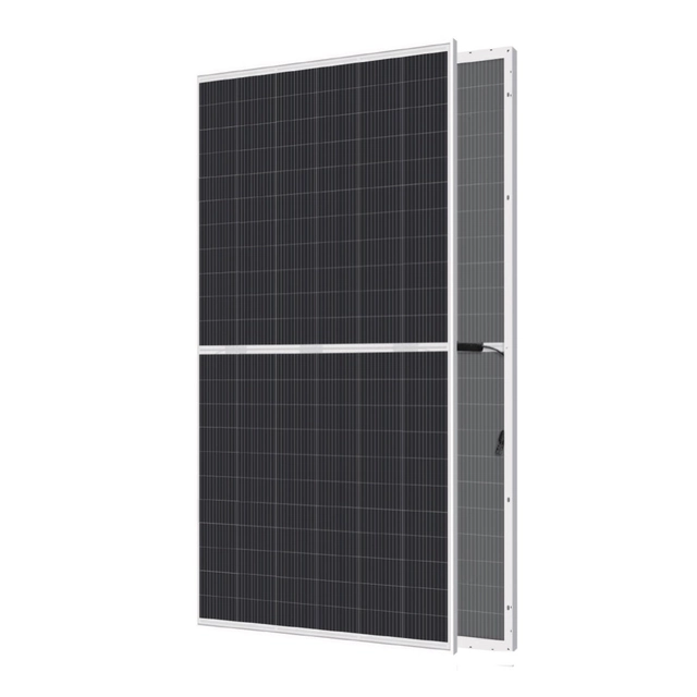 Panther-Modul 660W Einzelglas-Bifacial – RECOM