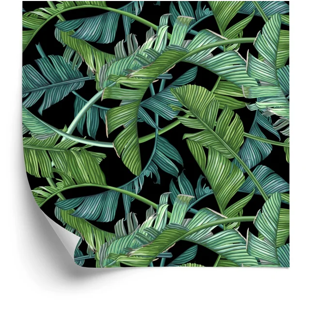 Papel pintado de hojas de palmeras tropicales