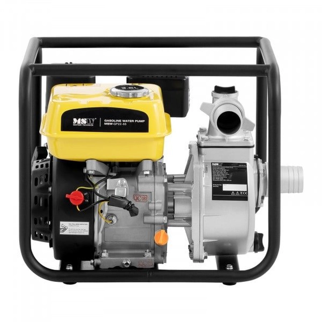 Pompe à eau - 6,5 HP / 3600 tr/min./min MSW 10061615 MSW-GP22-65