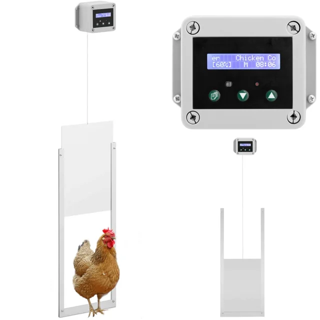 Puerta automática para gallinero con sensor de luz, alimentada por batería 6 V LCD