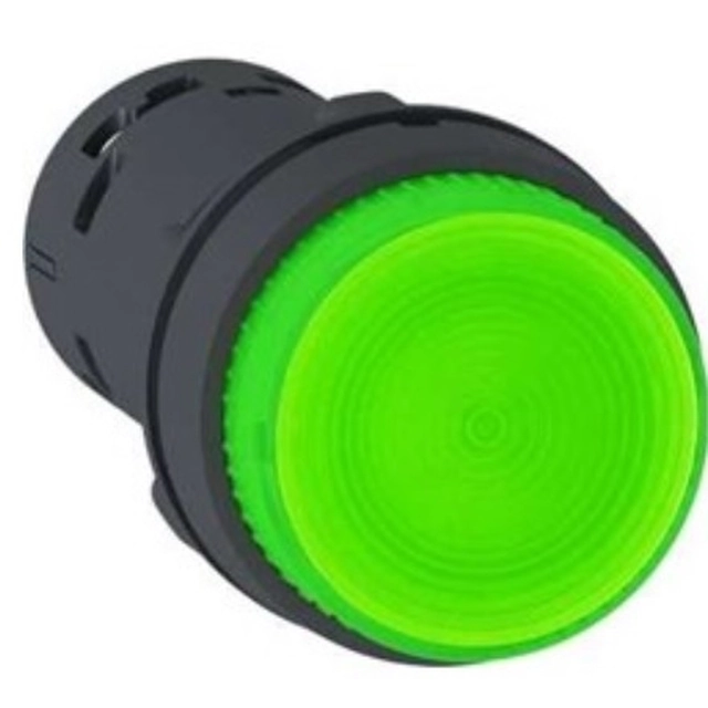 Pulsante di controllo Schneider Electric 22mm verde 1Z a molla con retroilluminazione 230V CA - XB7NW33M1