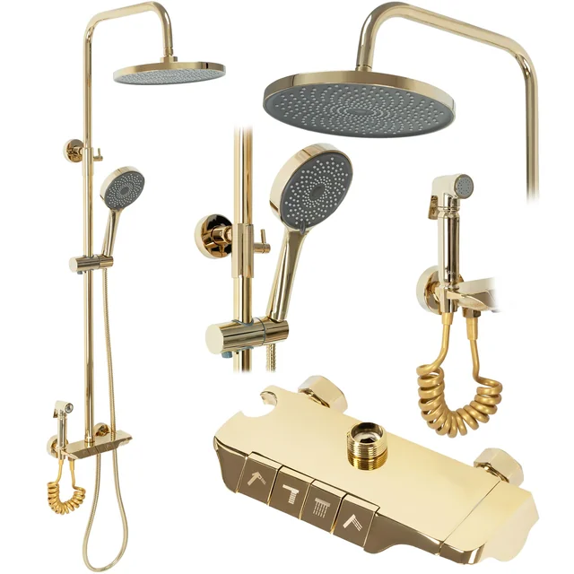 REA MAX Gold Shower Set