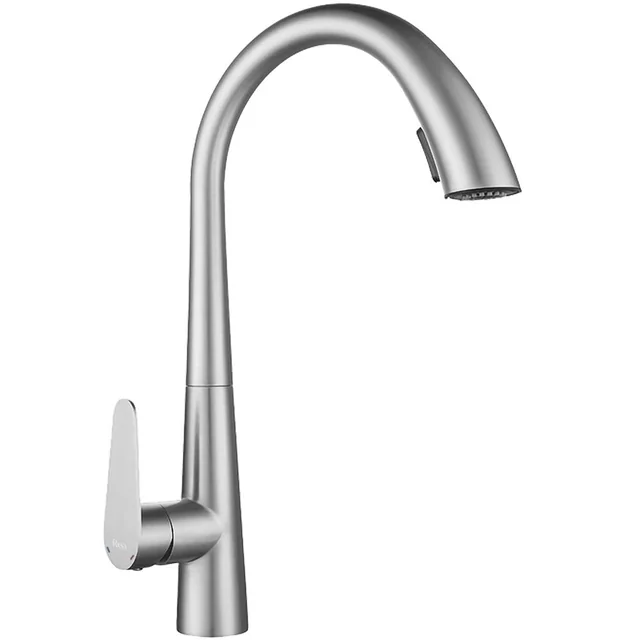 REA Ross virtuvės maišytuvas BRUSHED NICKEL INOX