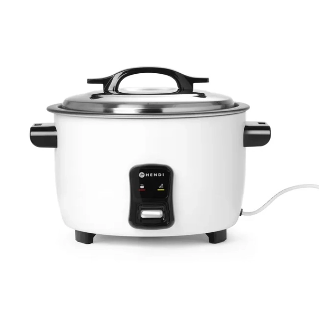 Rice and groats cooking device 10l