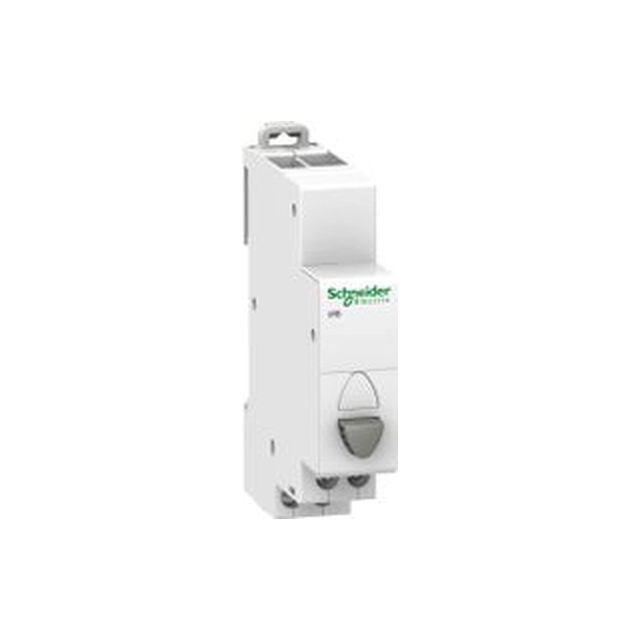 Schneider Electric Botón único gris iPB 1 NO 1 NZ (A9E18033)