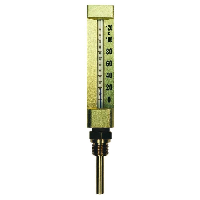 Screen thermometer industrial 1/2 "bottom - well 100 mm ACTVID121