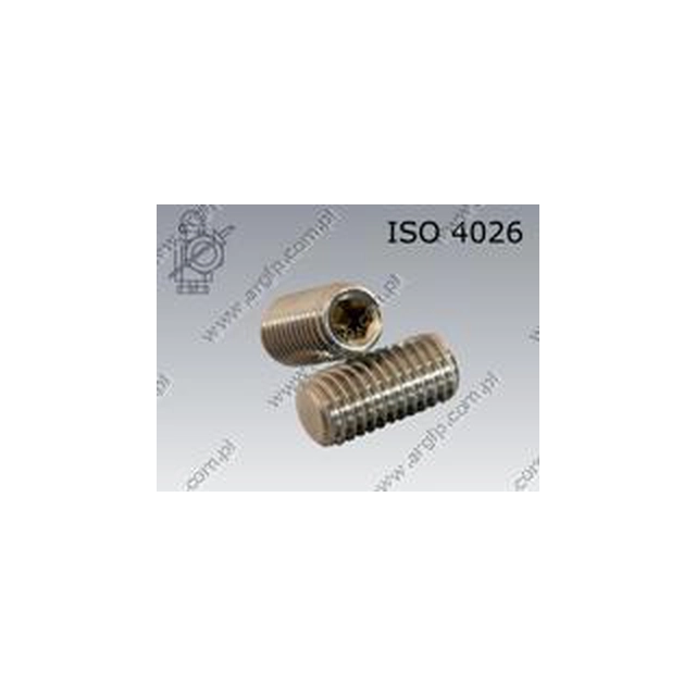Screw clamp. 6-kt/pł M 3×16-A2 ISO 4026