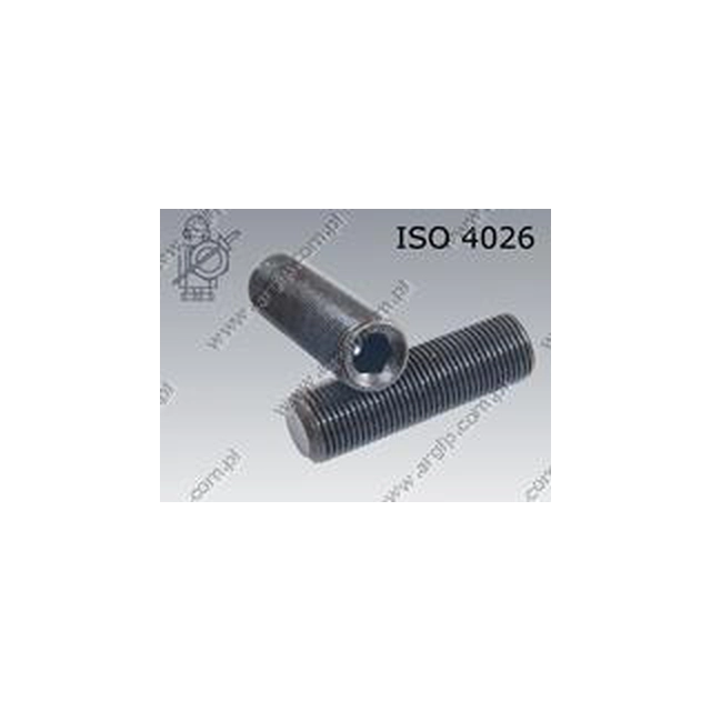 Screw clamp. 6-kt/pł M 8×1×14-45H ISO 4026