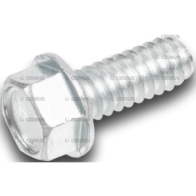 SCREWS SELF-TAPPING SCREW FOR FASTENING MOUNTING SCREWING LONCIN LC1P92F1 EMAK ENGINE FOR TRACTOR SECO, OLEO-MAC, CEDRUS 3/8"x1" N309578548 ORIGINAL PART