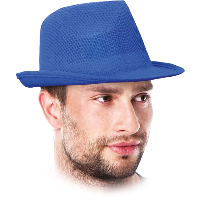 SKEBRUOTĖ skrybėlė