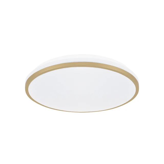 SMD LED ceiling lamp LINUS LED C 12W NW