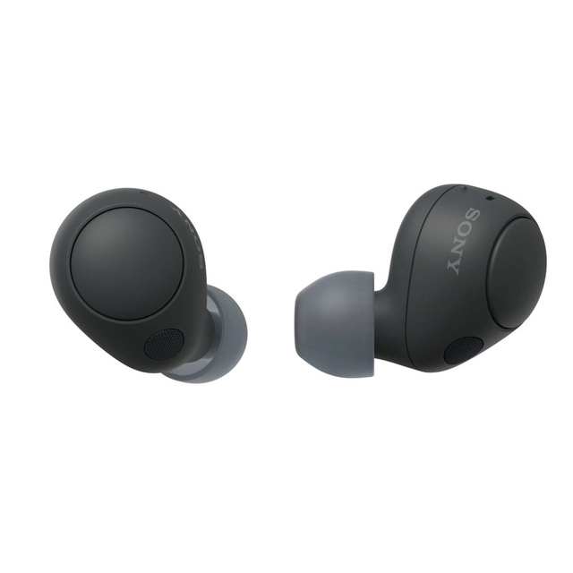 Sony Bluetooth ausinės su mikrofonu WF-C700N