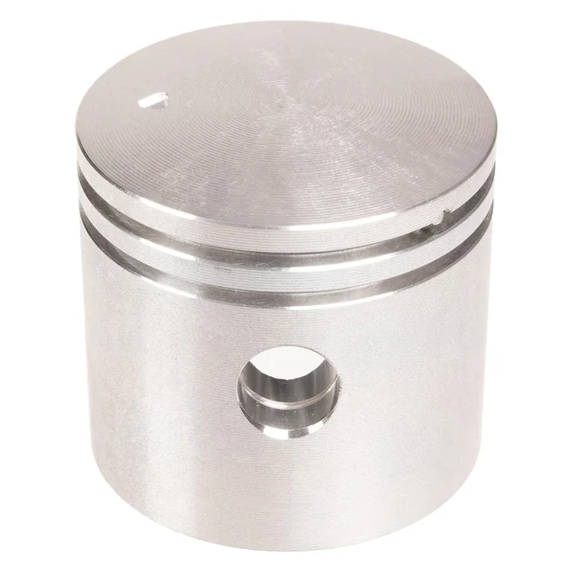 Souffleur à piston Cedrus Dm02 070218