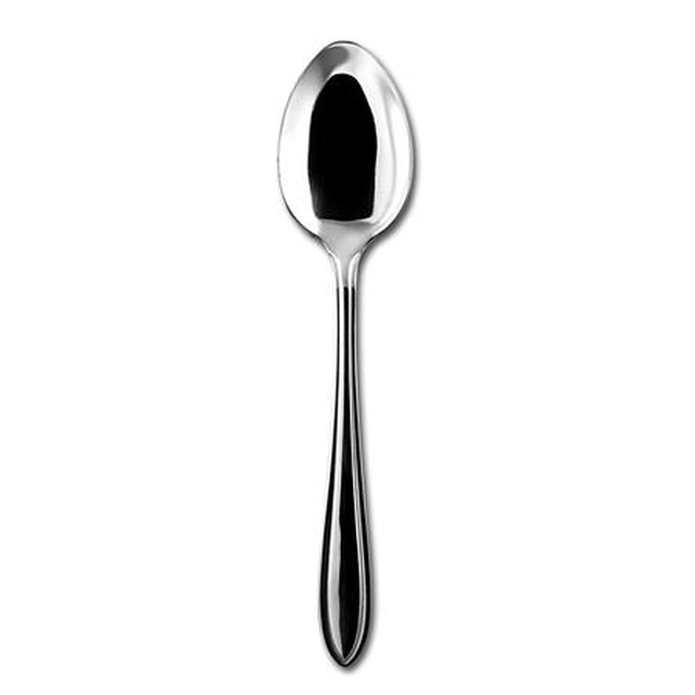 Spoon, stainless steel, 20.5 cm, set of 12, Time