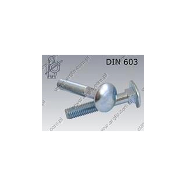 Square neck bolt M 8×160-8.8 oc.B DIN 603