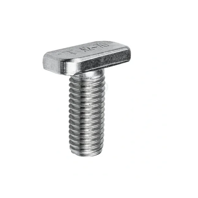 T-head screw A2 M10*30mm