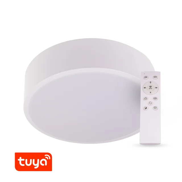 T-LED SMART Tuya λάμπα LED RENDO 48W CCT στρογγυλό λευκό Παραλλαγή: SMART Tuya λάμπα LED RENDO 48W CCT στρογγυλό λευκό, Light_Color: CCT