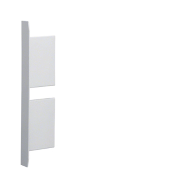 tehalit.BKIS End cap, plaster wall 25mm, 230, cover 2x80mm, steel white
