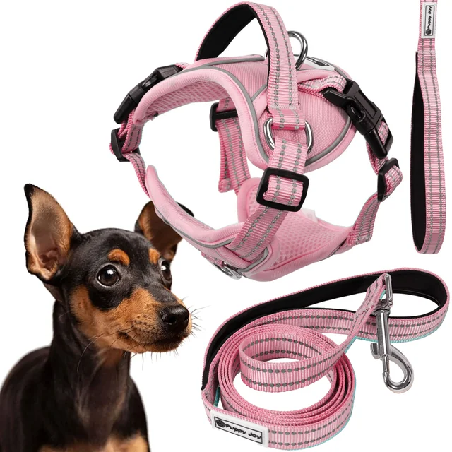 Trela ​​e arnês para cães PJ-052 rosa S