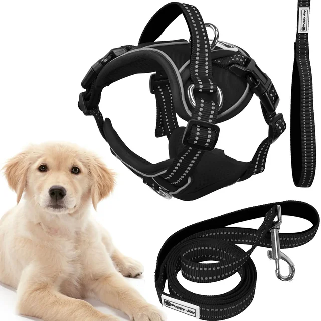 Trela ​​e arnês para cães PJ-059 preto L