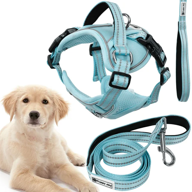 Trela ​​e arnês para cães PJ-062 azul L