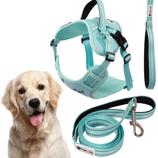 Trela ​​e arnês para cães PJ-065 verde XL