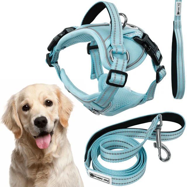 Trela ​​e arnês para cães PJ-066 azul XL