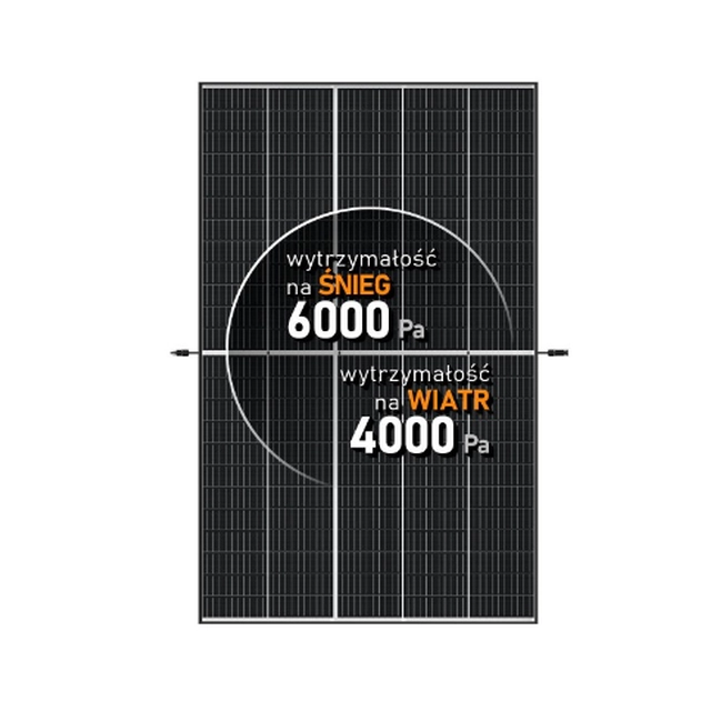 Trina Solar Module PV 405 W Vertex S Cadre Noir Trina