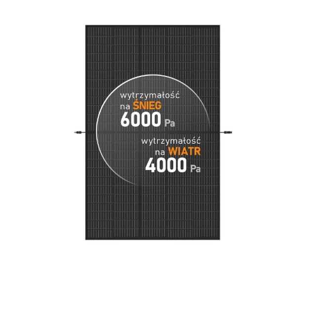 Trina Solar PV-module 395 W Vertex S Volledig zwart Trina