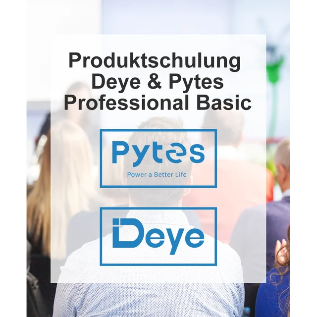 Usposabljanje za izdelke Deye & Pytes “Professional Basic”