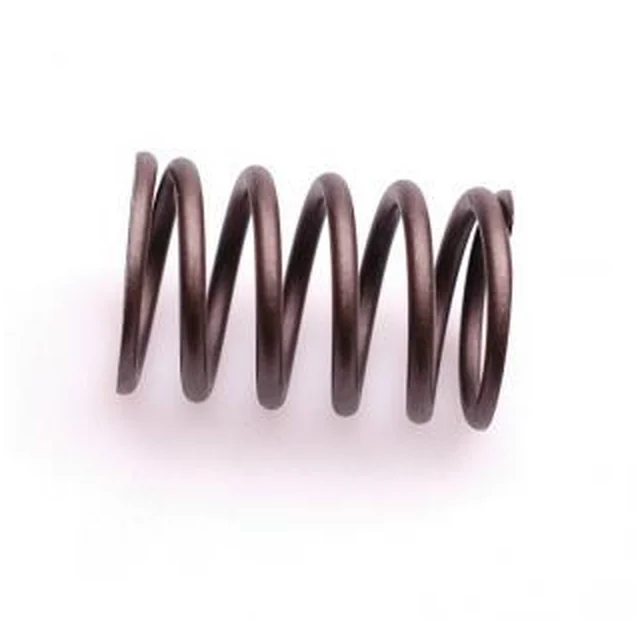 Valve Spring Rato Engine R670 12103-Z130110-0000