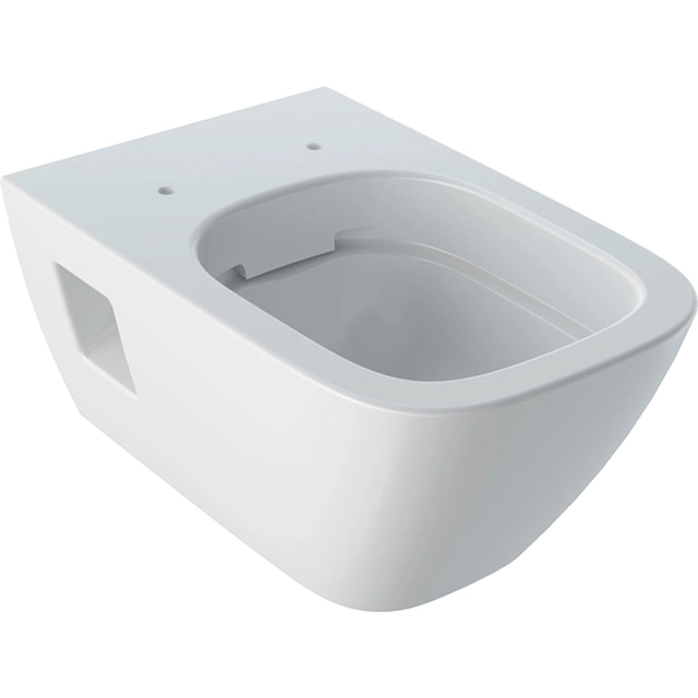 Wall-hung toilet bowl Selnova Square, funnel,B35 cm,H33 cm,T54 cm, partially concealed fixings, Rimfree