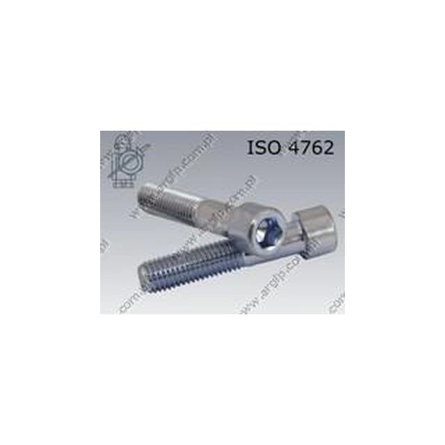 Wed hexagonal socket M 6×100-8.8 oc.B ISO 4762