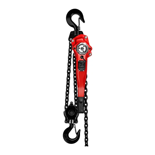 Winch chain hoist chain hoist 6T / 5m