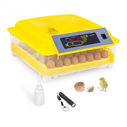Automatic incubator for 48 eggs
