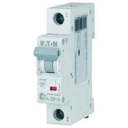 Circuit breaker 6kA HN-C50/1