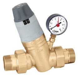 Pressure regulator with replaceable cartridge with pressure gauge and setting indicator 3/4"