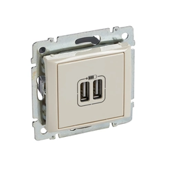 USB power supply Legrand 774170 Flush mounted (plaster) Beige